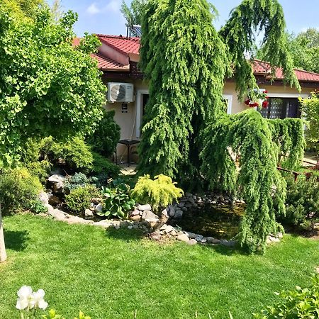Cristi'S Rooms - Pensiune Oradea Εξωτερικό φωτογραφία