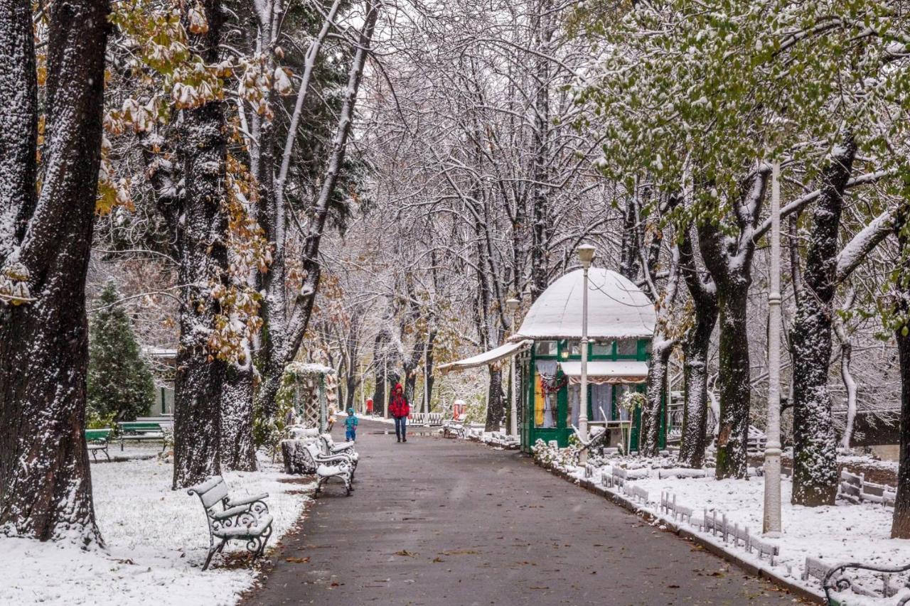 Cristi'S Rooms - Pensiune Oradea Εξωτερικό φωτογραφία